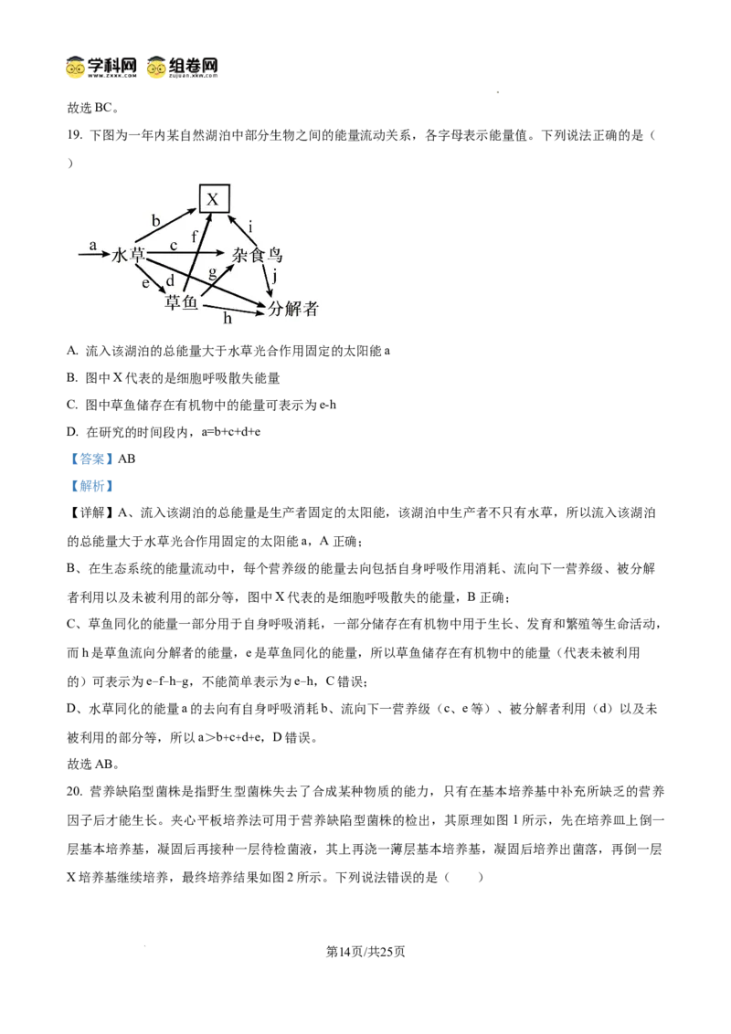 精品解析：2026届山东省东营市高三一模生物试题（解析版）