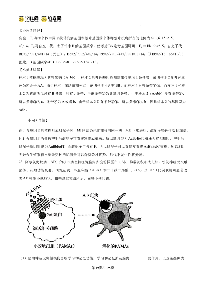 精品解析：2026届山东省东营市高三一模生物试题（解析版）