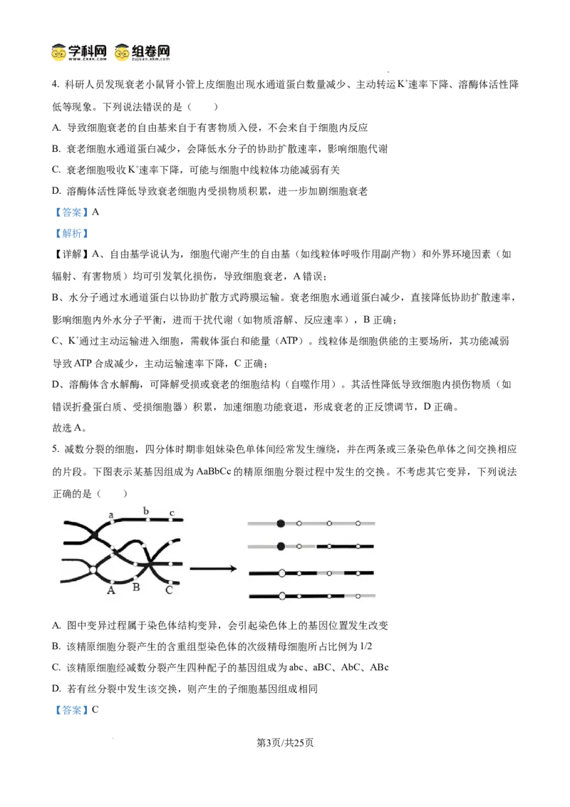 精品解析：2026届山东省东营市高三一模生物试题（解析版）