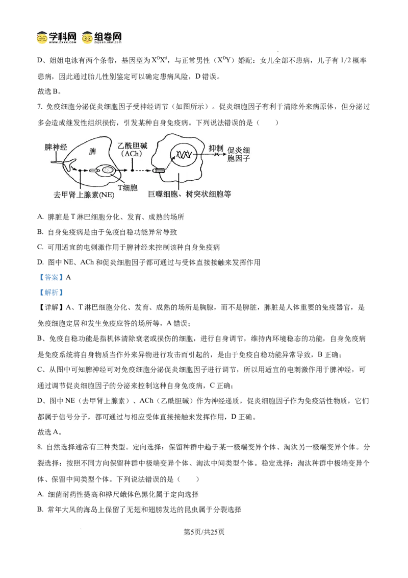 精品解析：2026届山东省东营市高三一模生物试题（解析版）