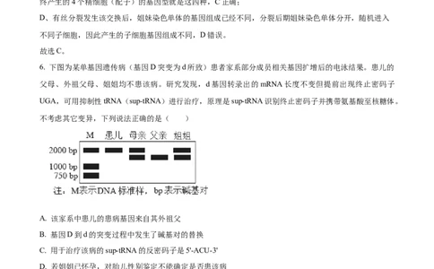 精品解析：2026届山东省东营市高三一模生物试题（解析版）