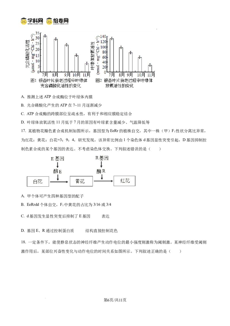 精品解析：2026届山东济宁市高三第一次模拟考试生物试题（原卷版）