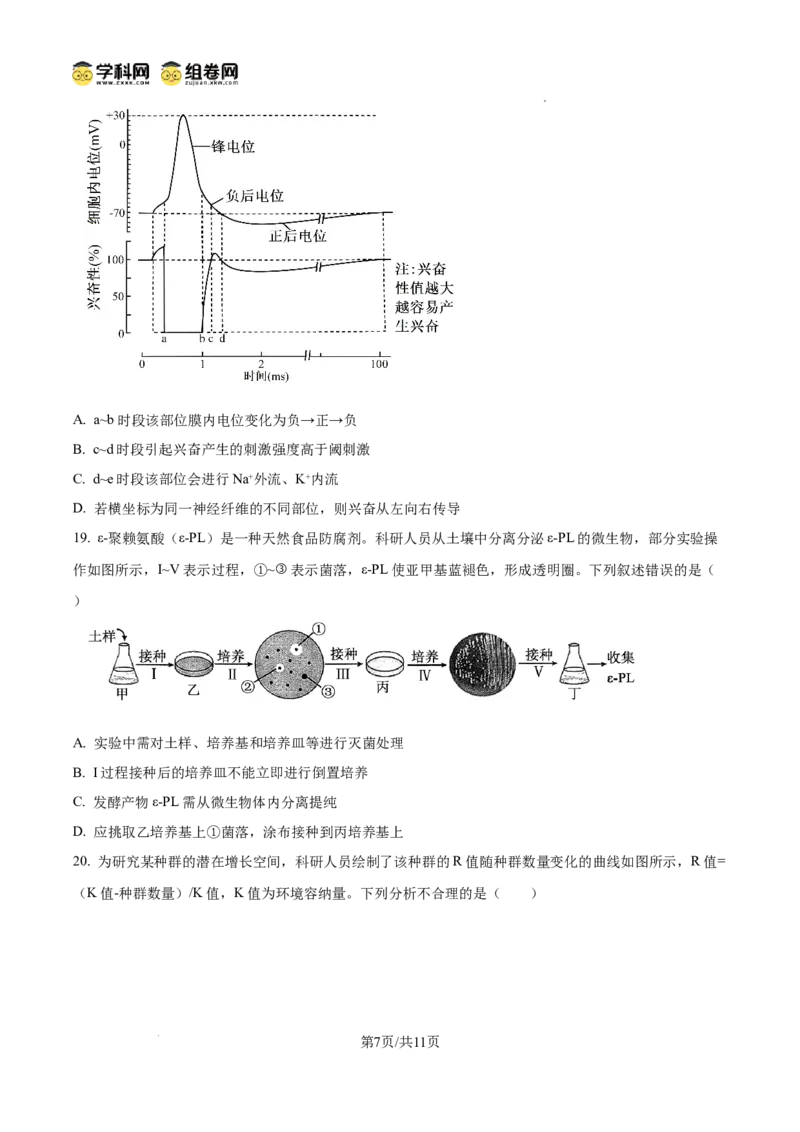 精品解析：2026届山东济宁市高三第一次模拟考试生物试题（原卷版）
