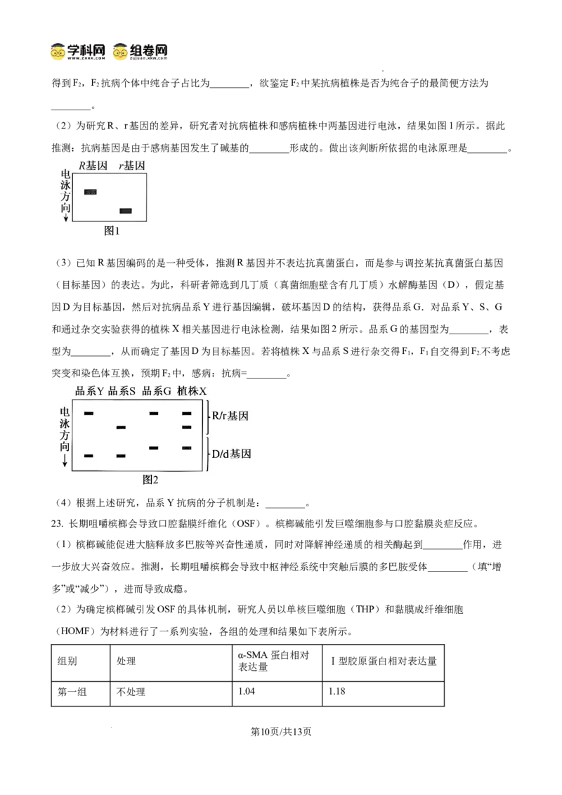 精品解析：2026届山东省菏泽市高三下学期一模生物试题（原卷版）
