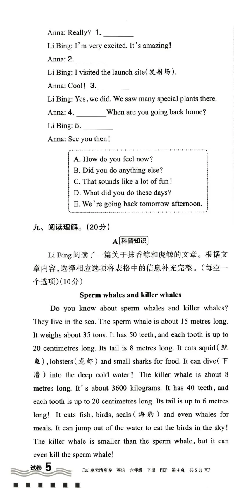 六年级英语人教PEP版25春《王朝霞单元活页卷》（A4版）_26春四年级上下册人教版_四上英语合集人教版PEP英语四年级上册新教材（教学视频+课件+动画+音频+练习+教案）_17练习资料_2025春