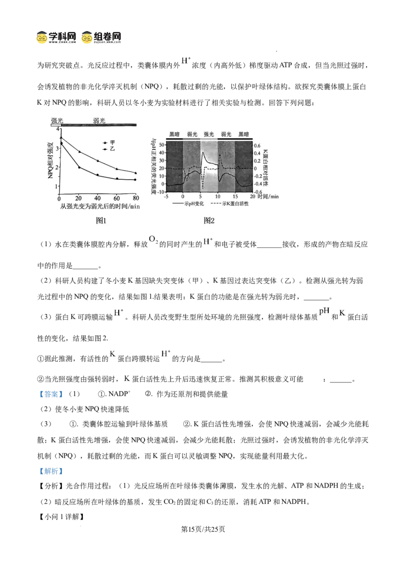 精品解析：2026届山东聊城市高三一模生物试题（解析版）