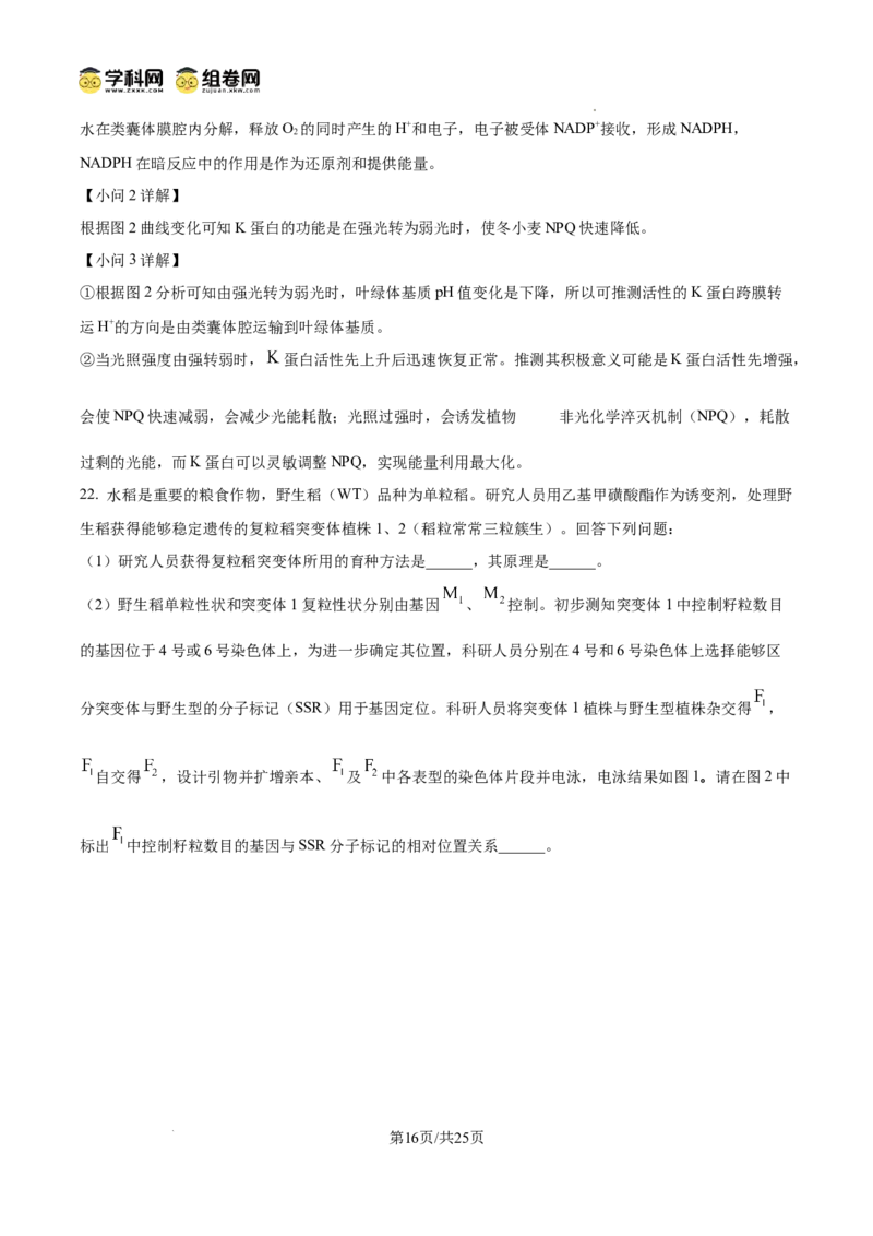 精品解析：2026届山东聊城市高三一模生物试题（解析版）