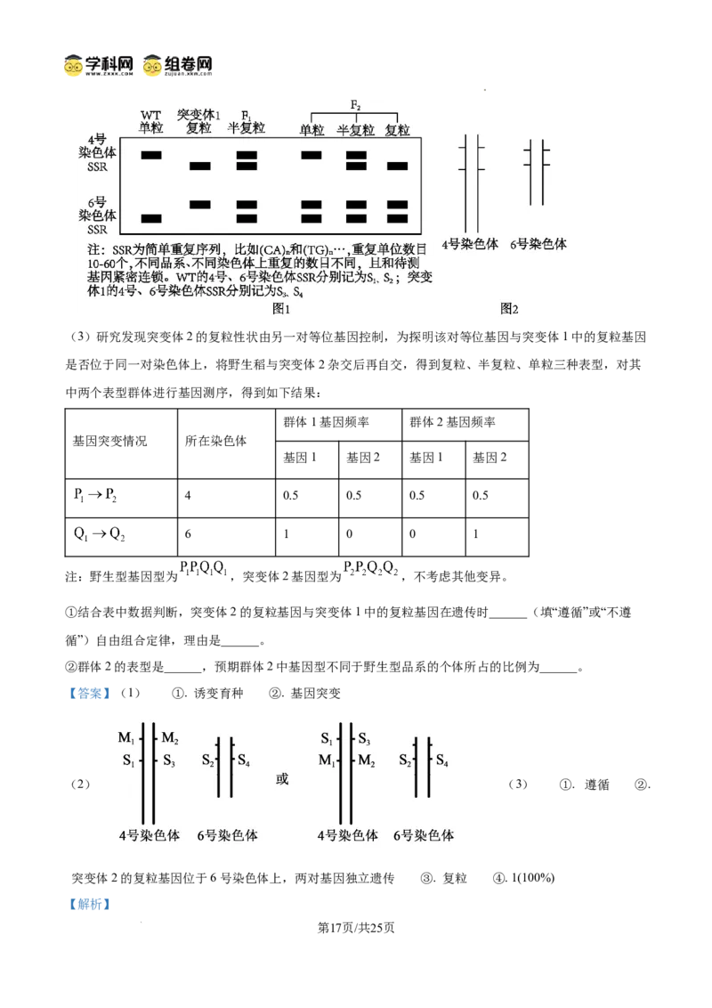 精品解析：2026届山东聊城市高三一模生物试题（解析版）
