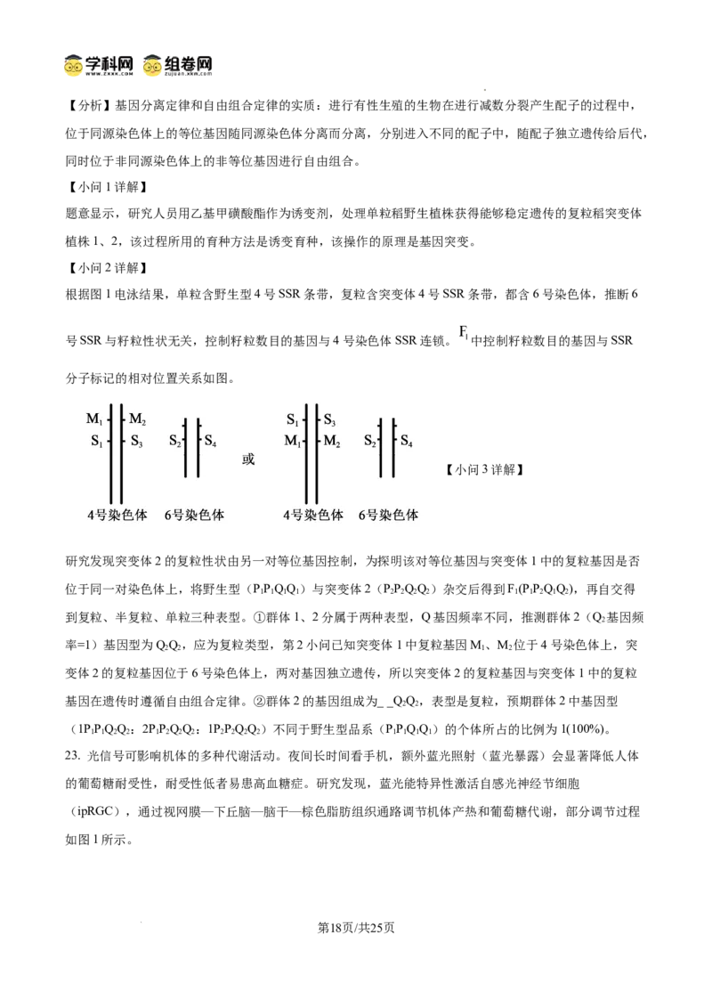 精品解析：2026届山东聊城市高三一模生物试题（解析版）