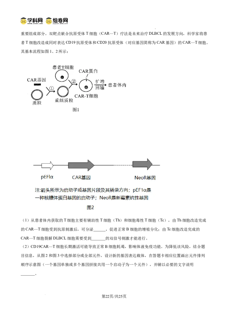 精品解析：2026届山东聊城市高三一模生物试题（解析版）