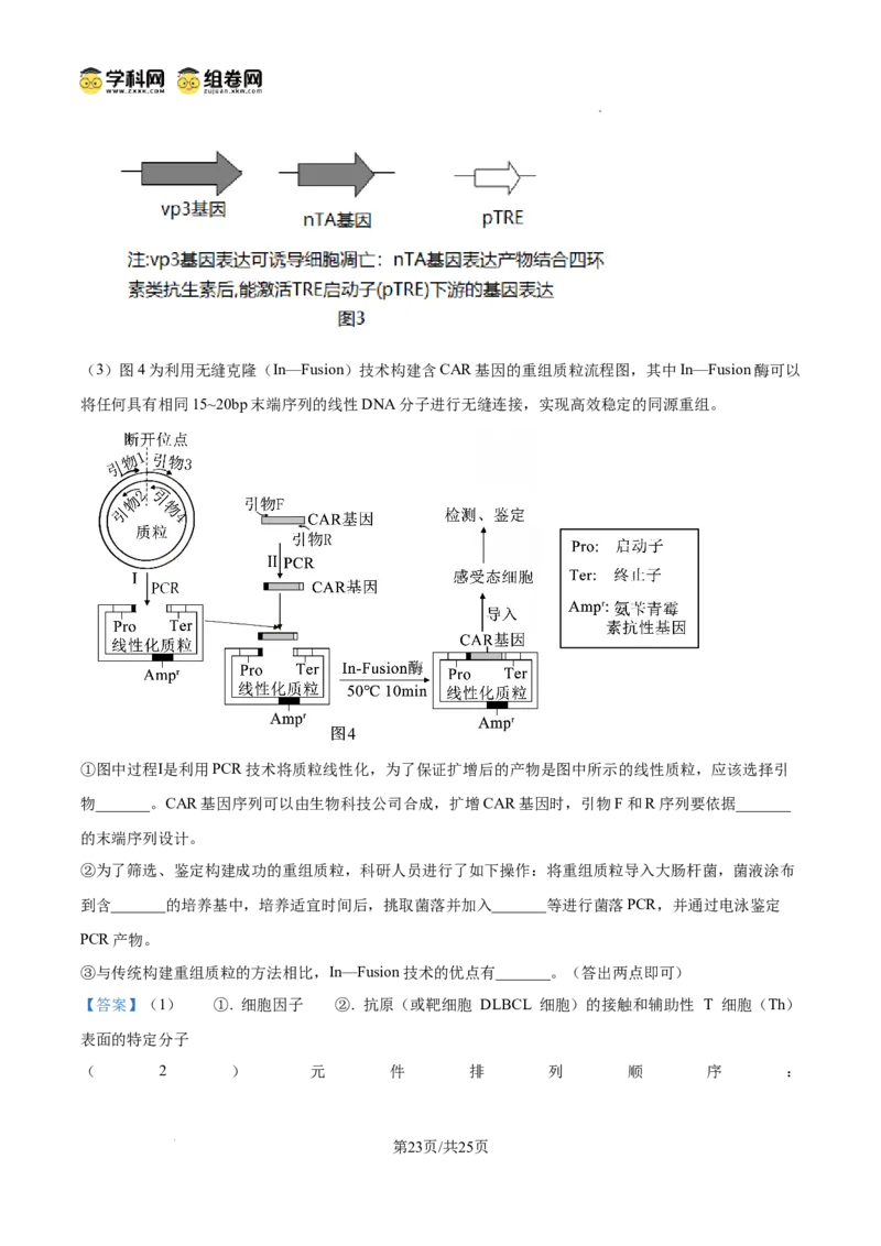 精品解析：2026届山东聊城市高三一模生物试题（解析版）