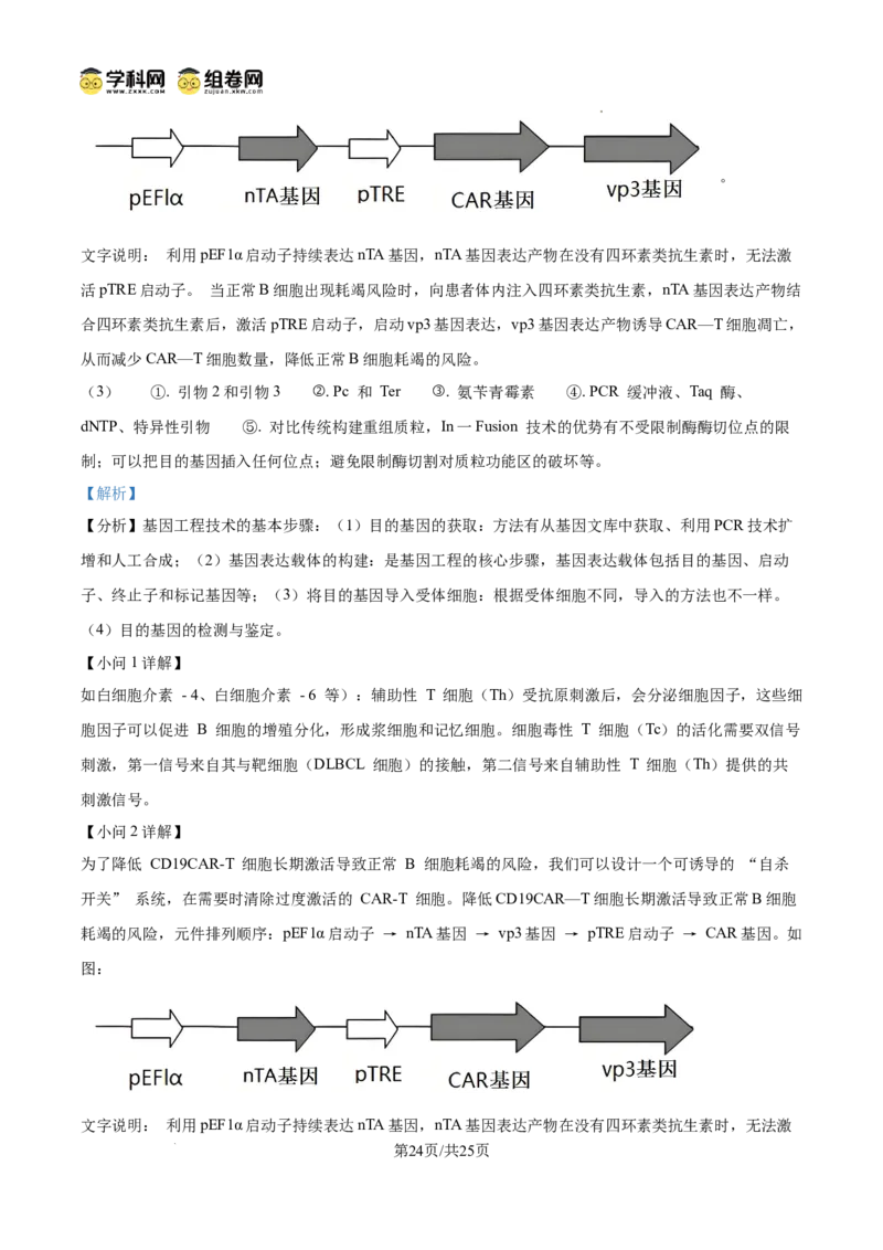 精品解析：2026届山东聊城市高三一模生物试题（解析版）