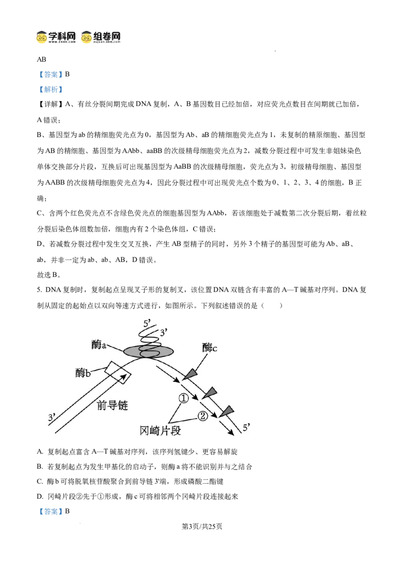 精品解析：2026届山东聊城市高三一模生物试题（解析版）