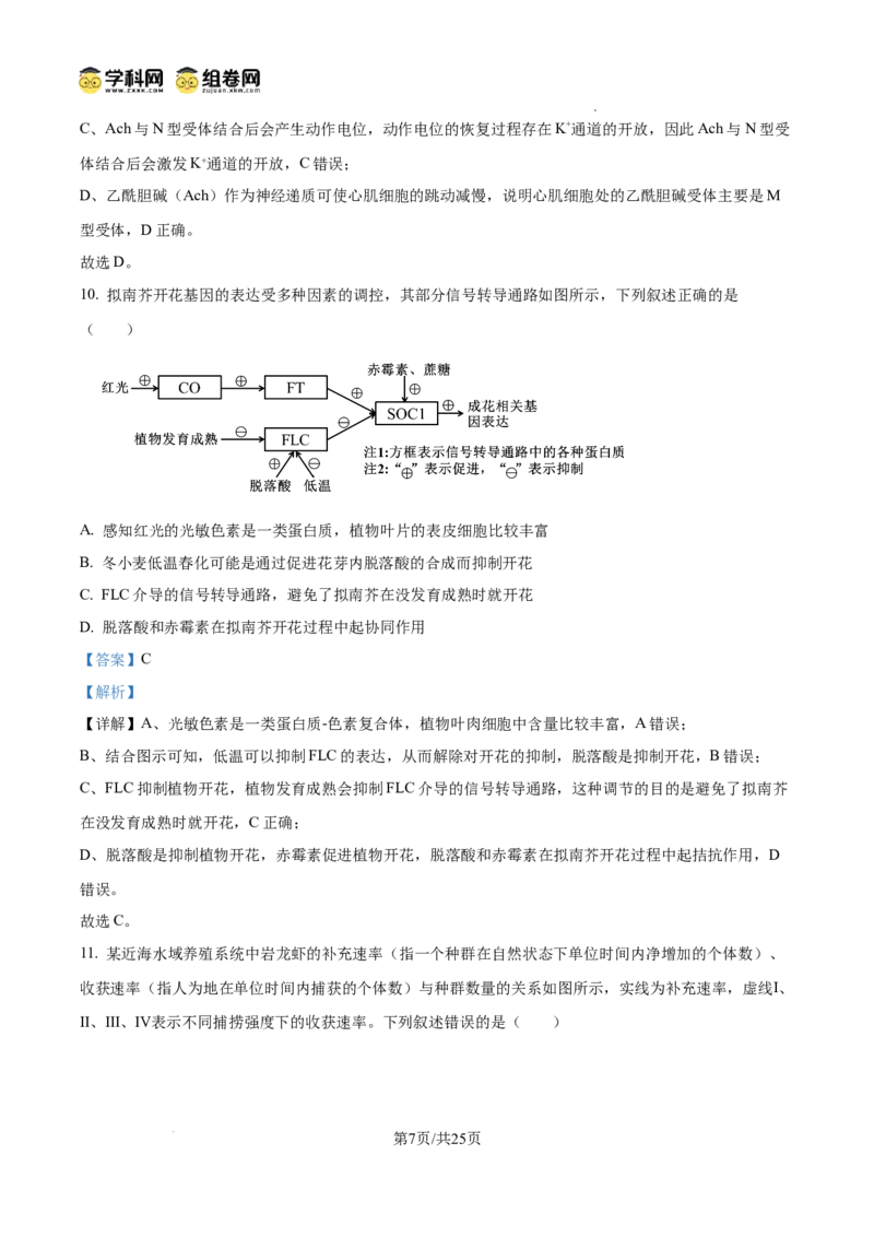 精品解析：2026届山东聊城市高三一模生物试题（解析版）