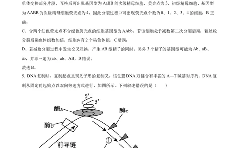 精品解析：2026届山东聊城市高三一模生物试题（解析版）