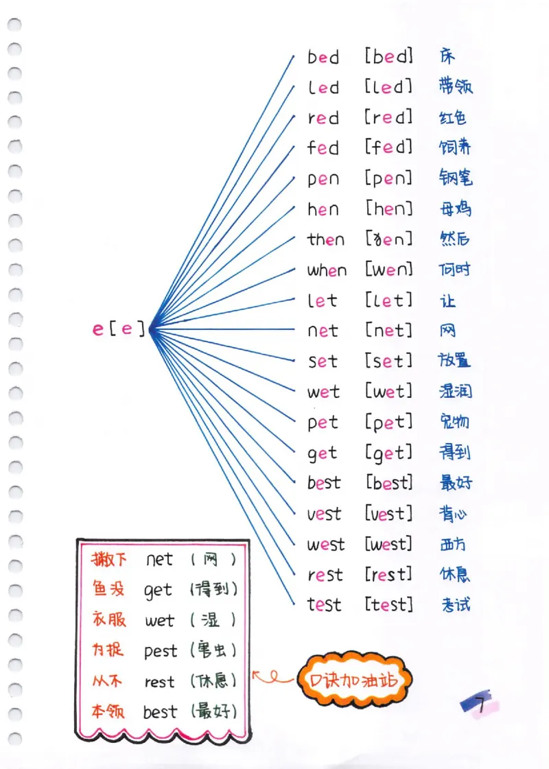 小学英语音标+自然拼读彩绘笔记（102页）_26春四年级上下册人教版_四上英语合集人教版PEP英语四年级上册新教材（教学视频+课件+动画+音频+练习+教案）_17练习资料