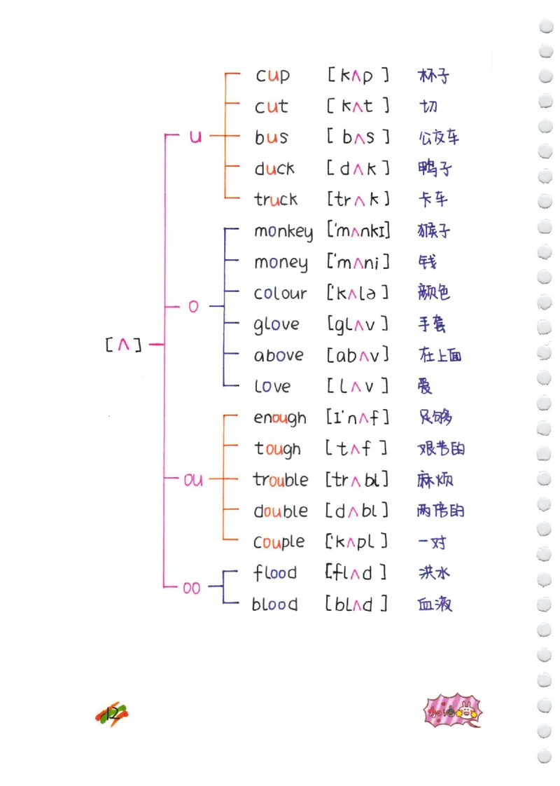 小学英语音标+自然拼读彩绘笔记（102页）_26春四年级上下册人教版_四上英语合集人教版PEP英语四年级上册新教材（教学视频+课件+动画+音频+练习+教案）_17练习资料