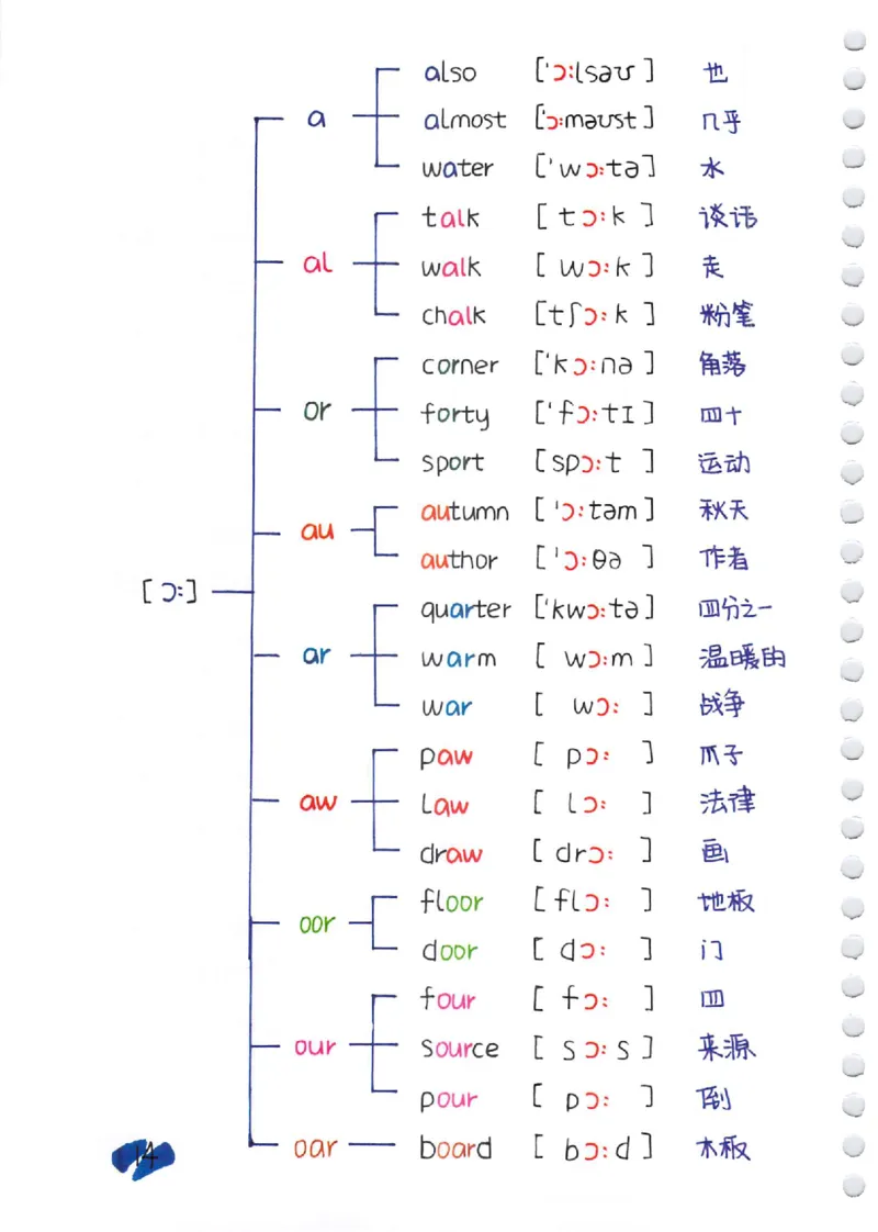 小学英语音标+自然拼读彩绘笔记（102页）_26春四年级上下册人教版_四上英语合集人教版PEP英语四年级上册新教材（教学视频+课件+动画+音频+练习+教案）_17练习资料