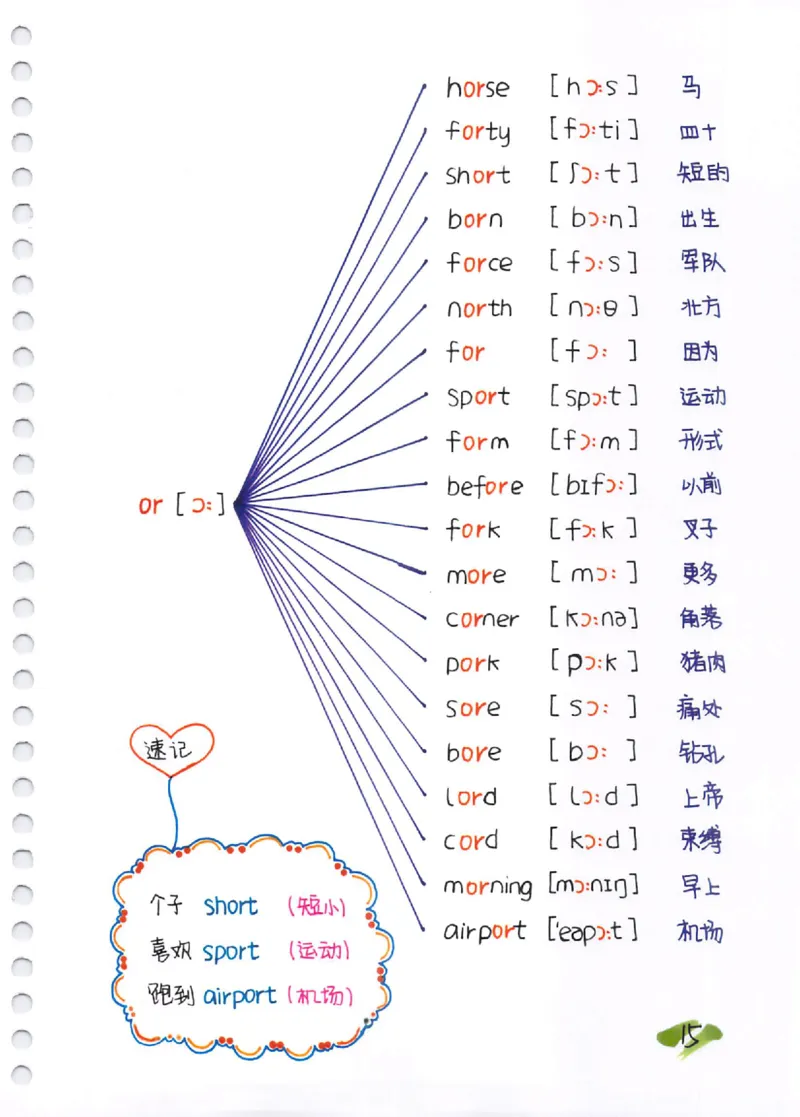 小学英语音标+自然拼读彩绘笔记（102页）_26春四年级上下册人教版_四上英语合集人教版PEP英语四年级上册新教材（教学视频+课件+动画+音频+练习+教案）_17练习资料