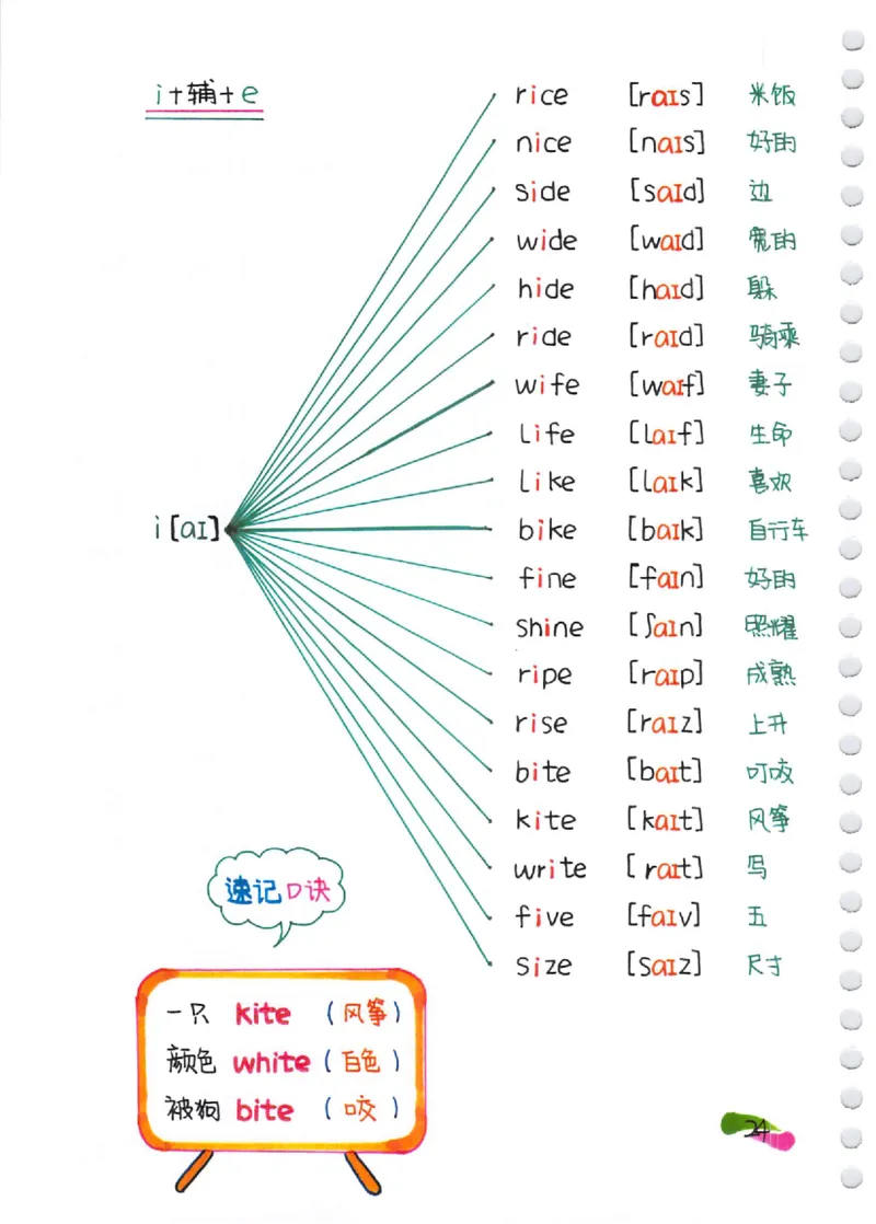 小学英语音标+自然拼读彩绘笔记（102页）_26春四年级上下册人教版_四上英语合集人教版PEP英语四年级上册新教材（教学视频+课件+动画+音频+练习+教案）_17练习资料