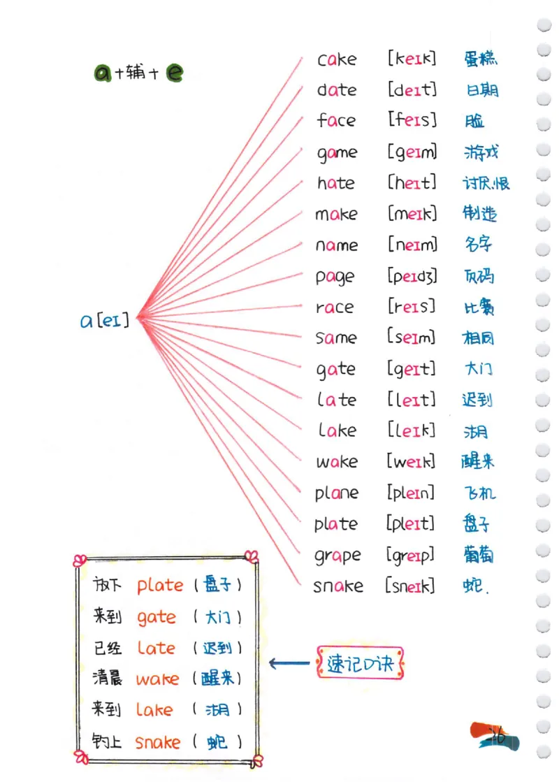 小学英语音标+自然拼读彩绘笔记（102页）_26春四年级上下册人教版_四上英语合集人教版PEP英语四年级上册新教材（教学视频+课件+动画+音频+练习+教案）_17练习资料