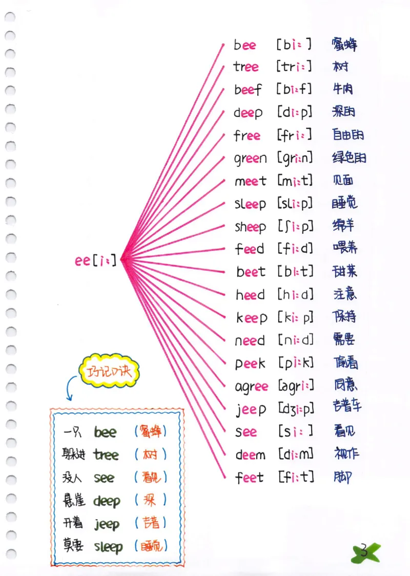 小学英语音标+自然拼读彩绘笔记（102页）_26春四年级上下册人教版_四上英语合集人教版PEP英语四年级上册新教材（教学视频+课件+动画+音频+练习+教案）_17练习资料