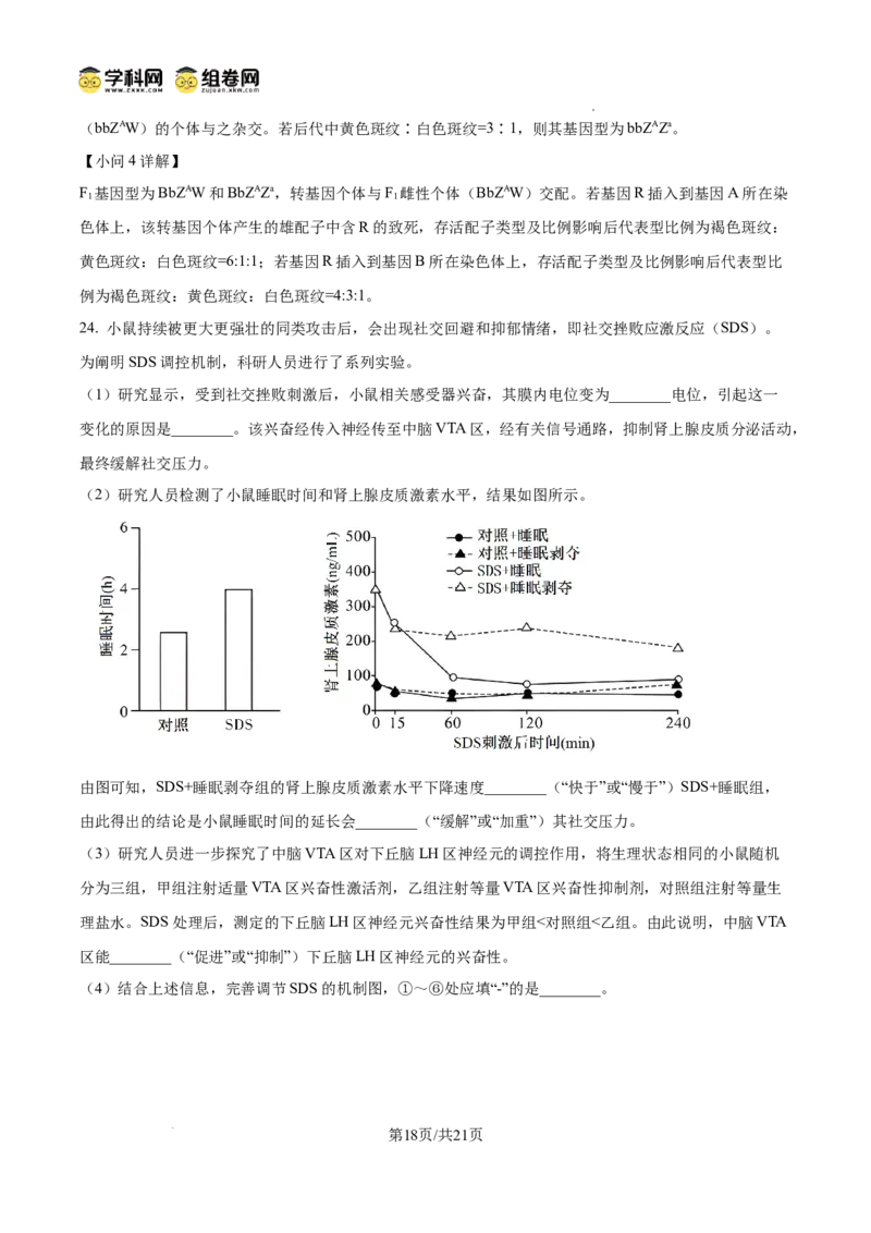 精品解析：2026届山东省日照市高三一模考试生物试题（解析版）