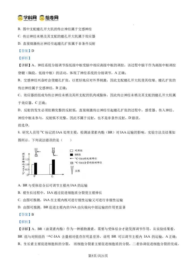 精品解析：2026届山东省日照市高三一模考试生物试题（解析版）