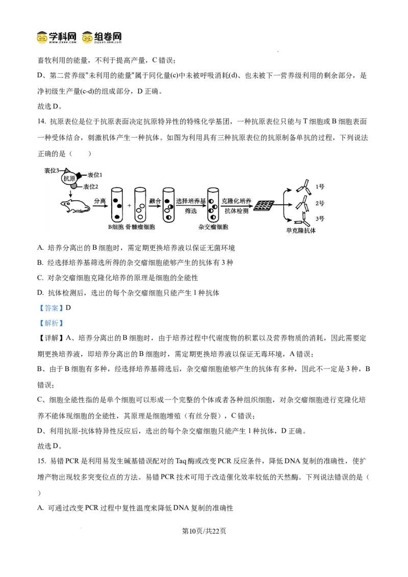 精品解析：2026届山东省烟台市高三下学期一模生物试题（解析版）