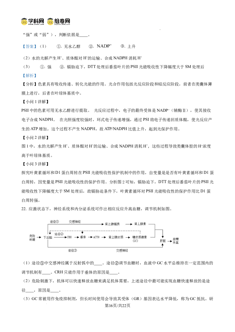 精品解析：2026届山东省烟台市高三下学期一模生物试题（解析版）