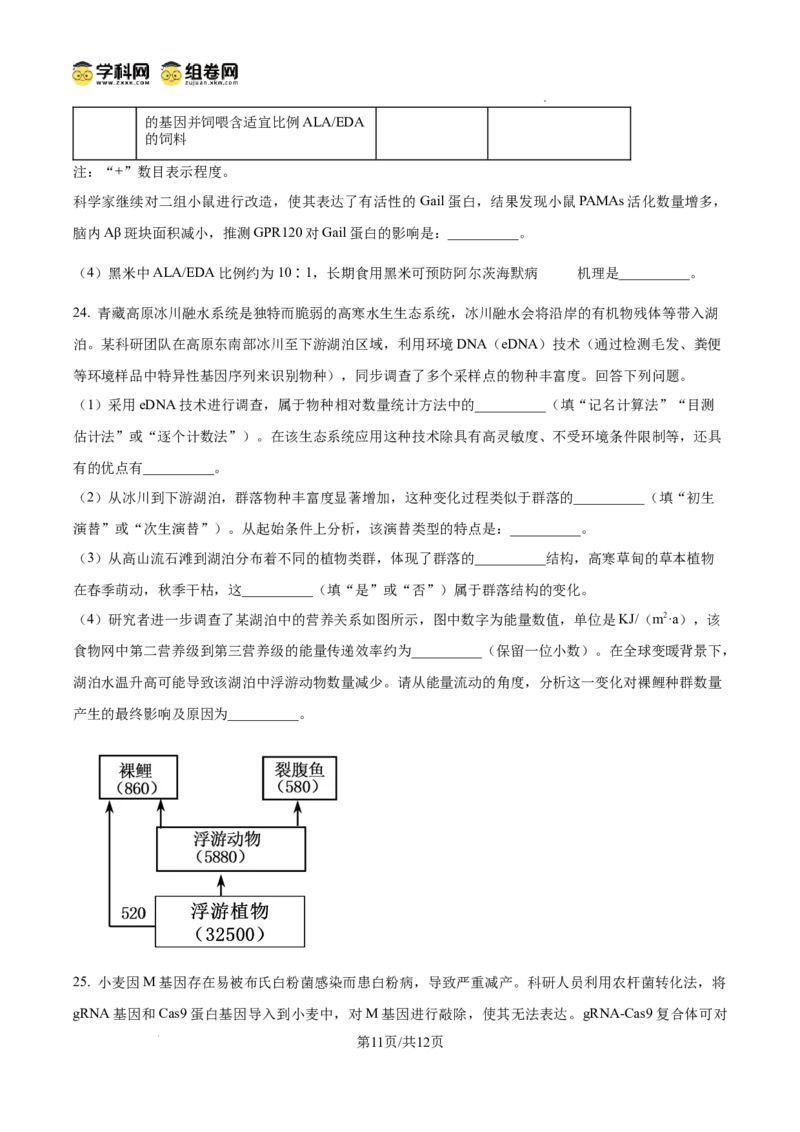 精品解析：2026届山东省东营市高三一模生物试题（原卷版）