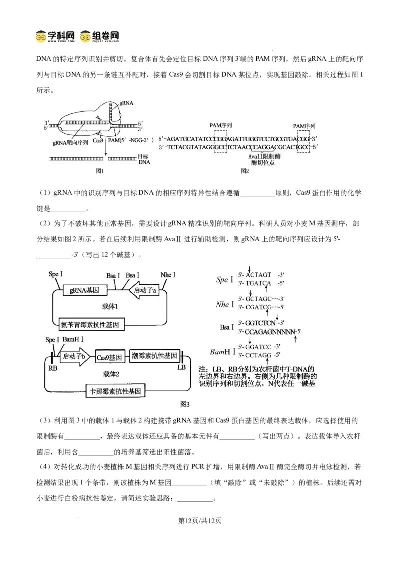 精品解析：2026届山东省东营市高三一模生物试题（原卷版）