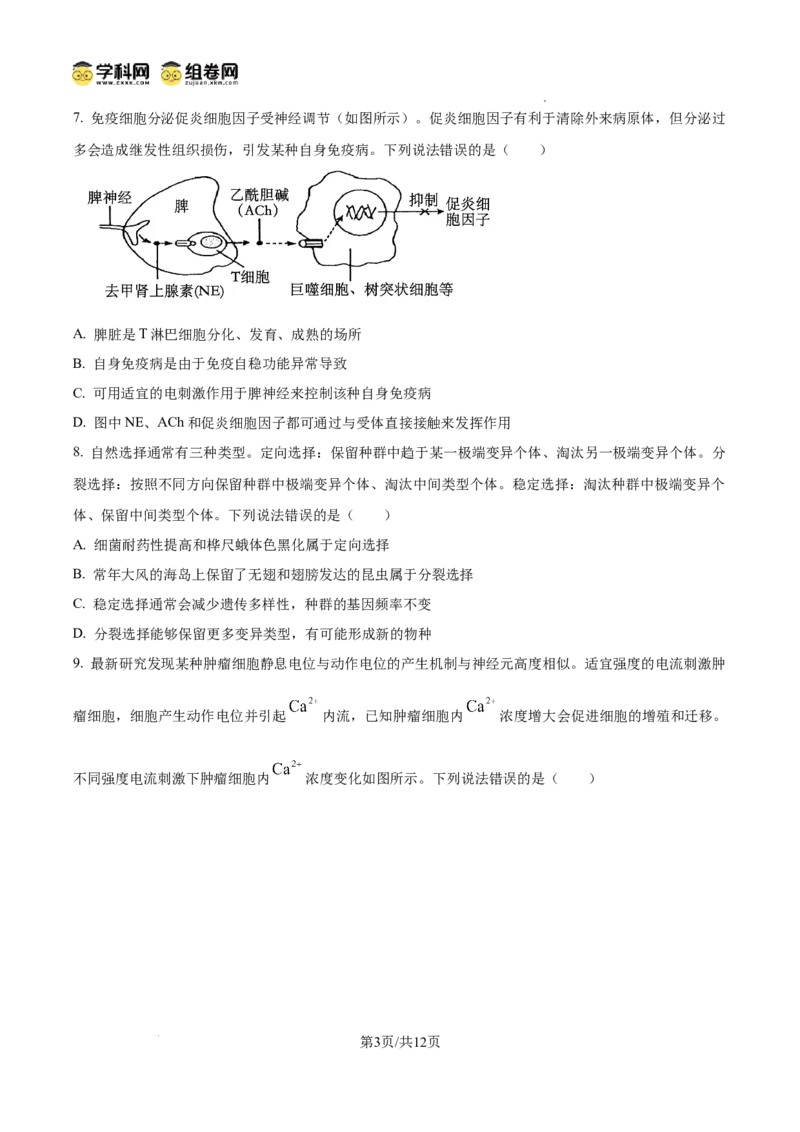 精品解析：2026届山东省东营市高三一模生物试题（原卷版）