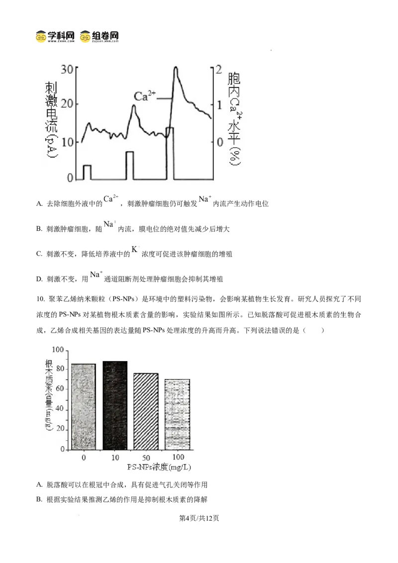 精品解析：2026届山东省东营市高三一模生物试题（原卷版）