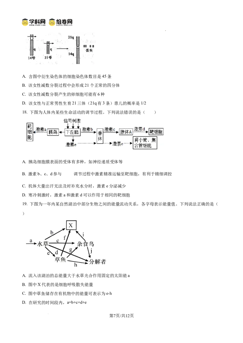 精品解析：2026届山东省东营市高三一模生物试题（原卷版）