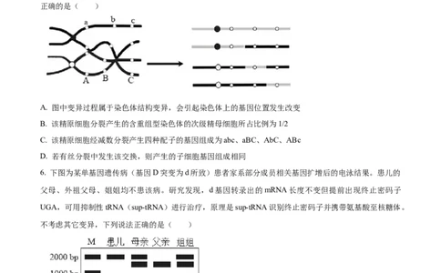 精品解析：2026届山东省东营市高三一模生物试题（原卷版）