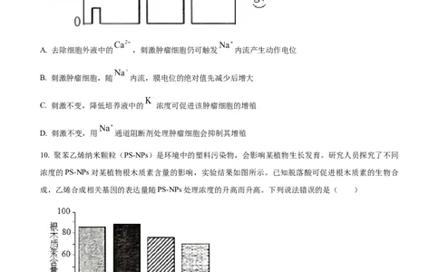 精品解析：2026届山东省东营市高三一模生物试题（原卷版）