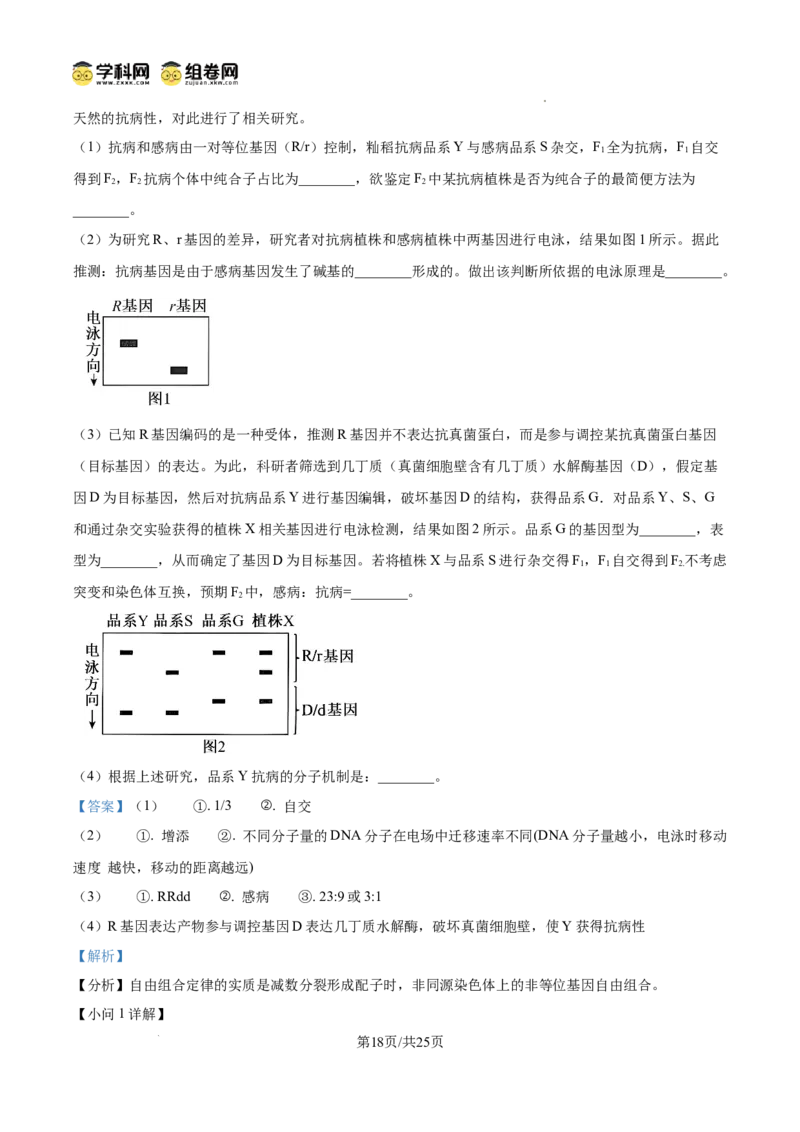 精品解析：2026届山东省菏泽市高三下学期一模生物试题（解析版）