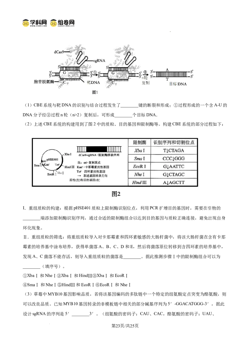 精品解析：2026届山东省菏泽市高三下学期一模生物试题（解析版）