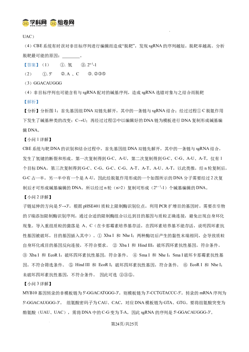 精品解析：2026届山东省菏泽市高三下学期一模生物试题（解析版）