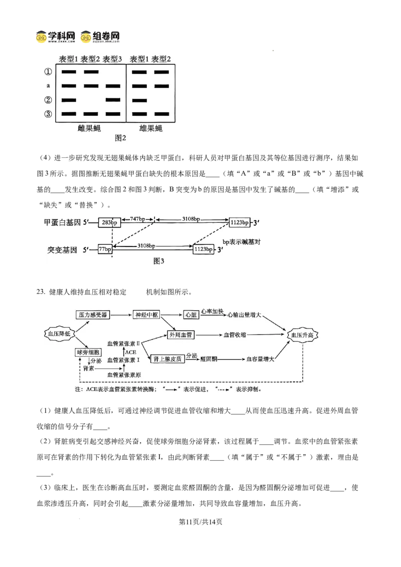 精品解析：山东省滨州市2026届高三下学期一模考试生物试题（原卷版）