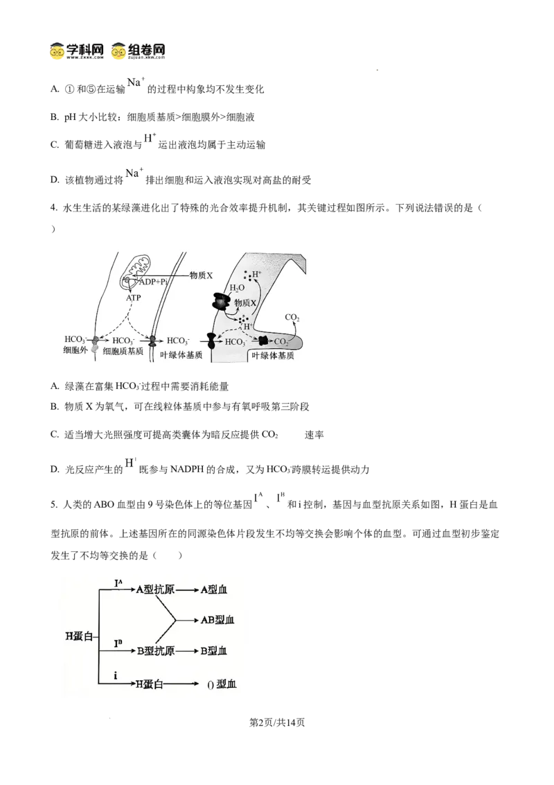 精品解析：山东省滨州市2026届高三下学期一模考试生物试题（原卷版）