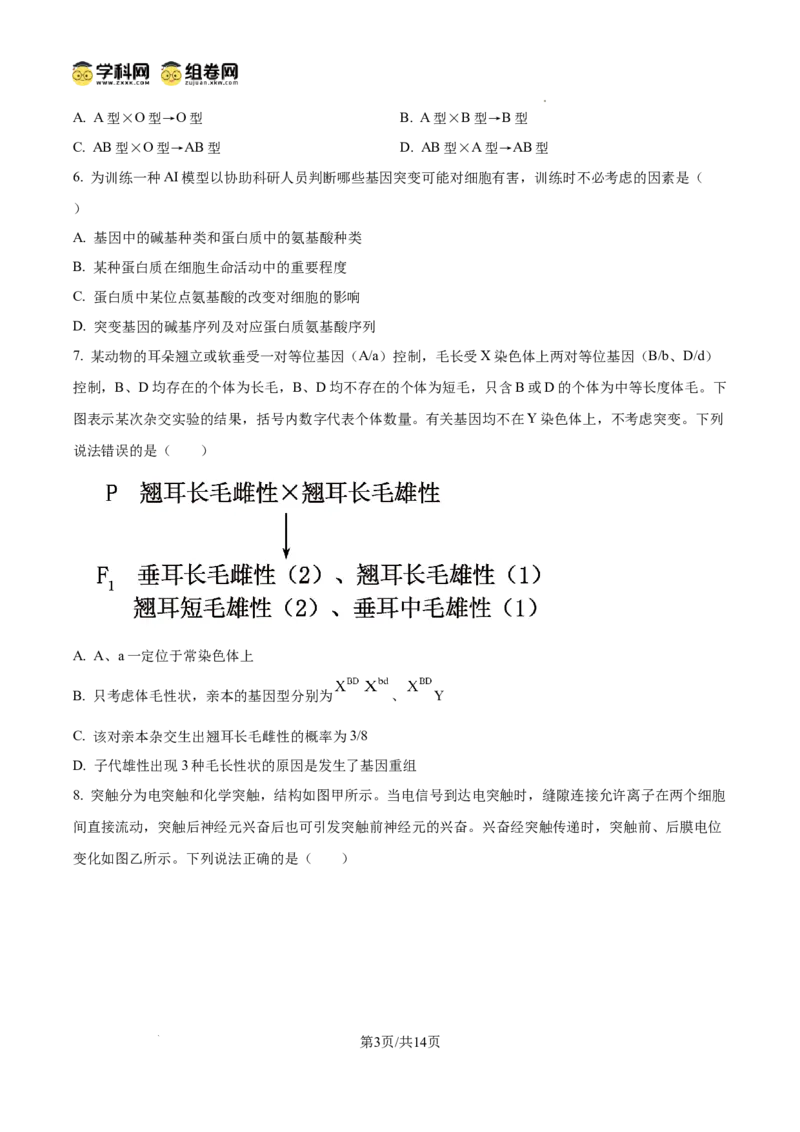 精品解析：山东省滨州市2026届高三下学期一模考试生物试题（原卷版）