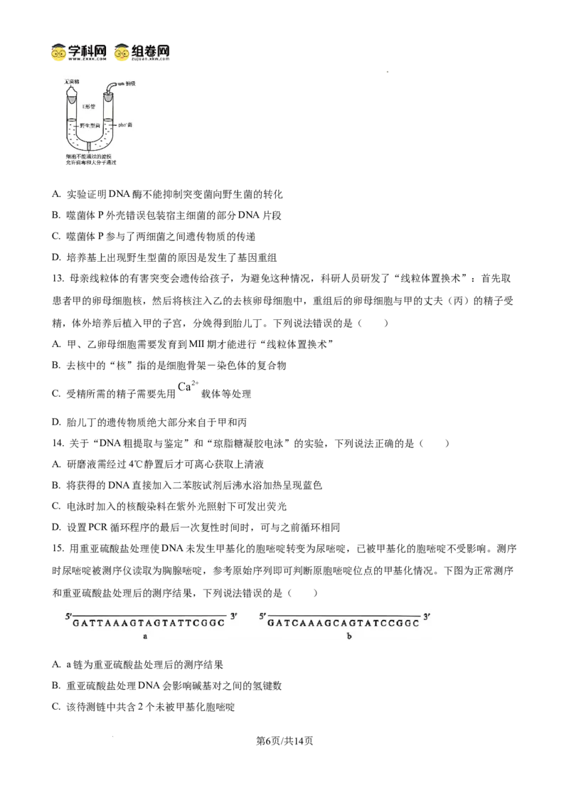 精品解析：山东省滨州市2026届高三下学期一模考试生物试题（原卷版）