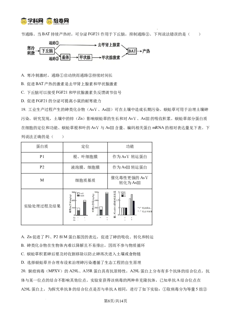 精品解析：山东省滨州市2026届高三下学期一模考试生物试题（原卷版）
