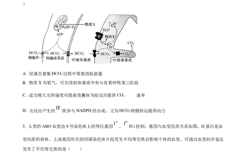 精品解析：山东省滨州市2026届高三下学期一模考试生物试题（原卷版）