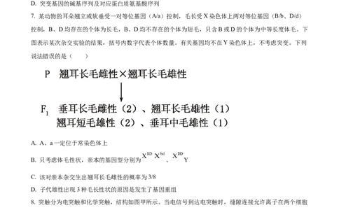 精品解析：山东省滨州市2026届高三下学期一模考试生物试题（原卷版）