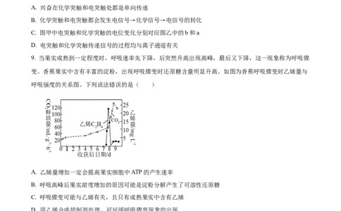 精品解析：山东省滨州市2026届高三下学期一模考试生物试题（原卷版）