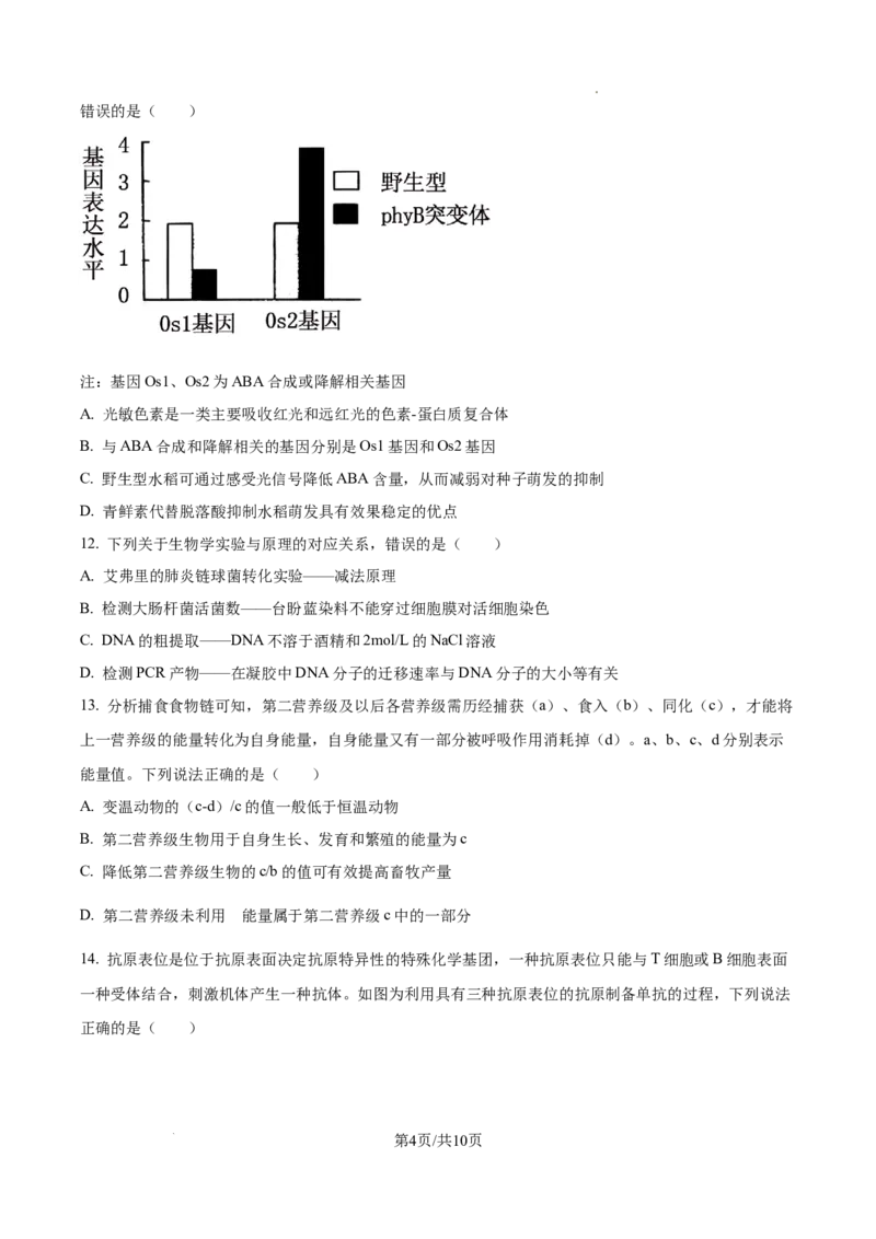 精品解析：2026届山东省烟台市高三下学期一模生物试题（原卷版）