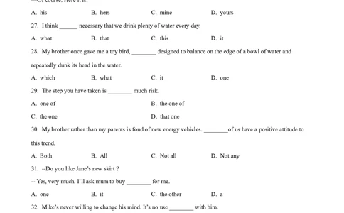 02冠词与代词常考点专练(解析版)-2022年高考英语一轮复习小题多维练(新高考专用版)_03高考英语_新高考复习资料_2022年新高考资料_2022年新高考英语一轮复习